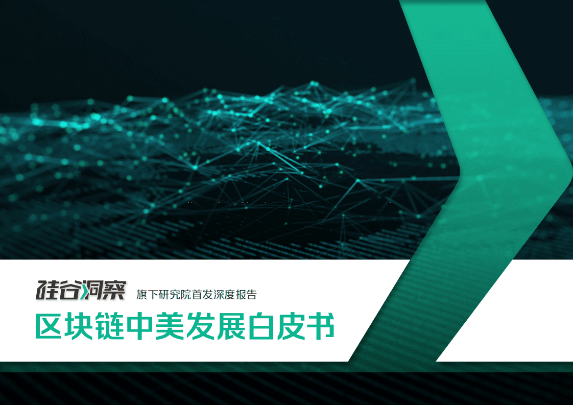 硅谷洞察：2018区块链中美发展白皮书.pdf 第1页