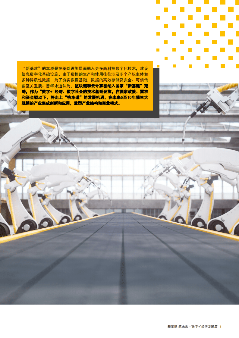 普华永道：区块链和云计算双引擎，合力驱动&ldquo;数字+&rdquo;经济发展.pdf 第2页