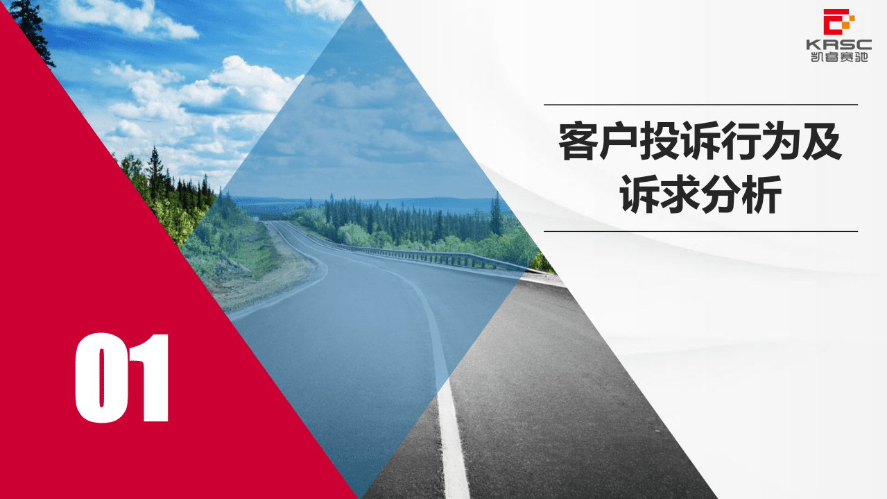 KRSC：2020年中国乘用车客户投诉行为研究.pdf 第4页