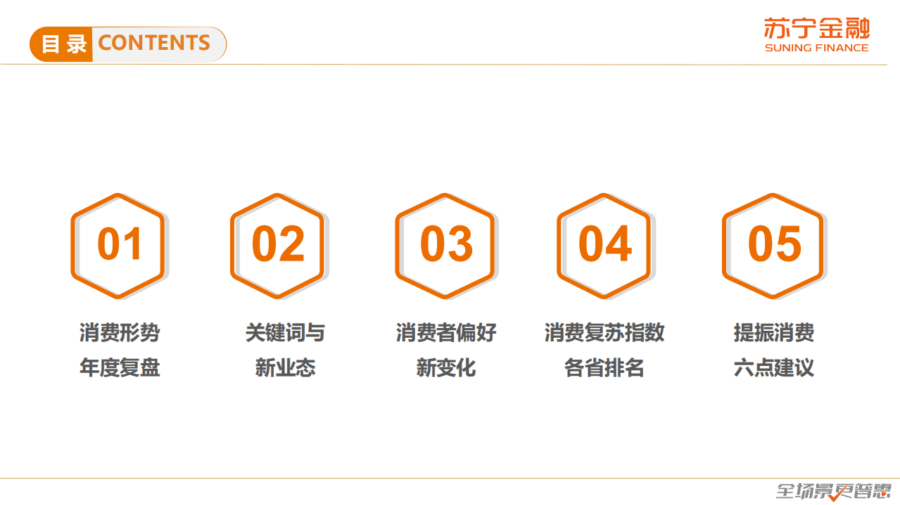 苏宁金融研究院：2020年度中国消费趋势报告.pdf 第2页