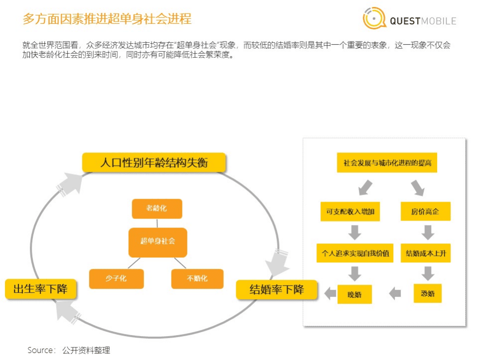 QuestMobile： “单身汪”人群洞察报告.pdf 第6页