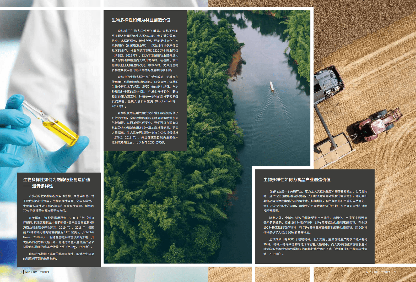 WWF：保护大自然，不容有失——生物多样性：金融管理风险中的下一个前沿领域》.pdf 第5页