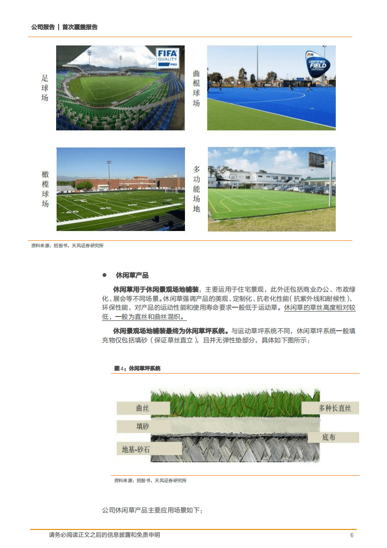 2020年共创草坪企业成为全球人造草龙头深度研究报告.pdf 第5页