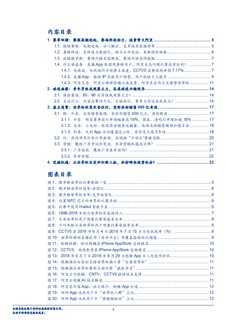 世界杯系列专题三：盘点世界杯流量红利，探寻消费投资路径-180723.pdf 第3页