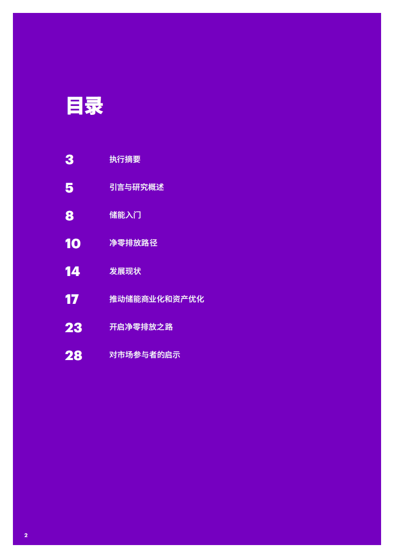 埃森哲：储能助力净零排放.pdf 第2页
