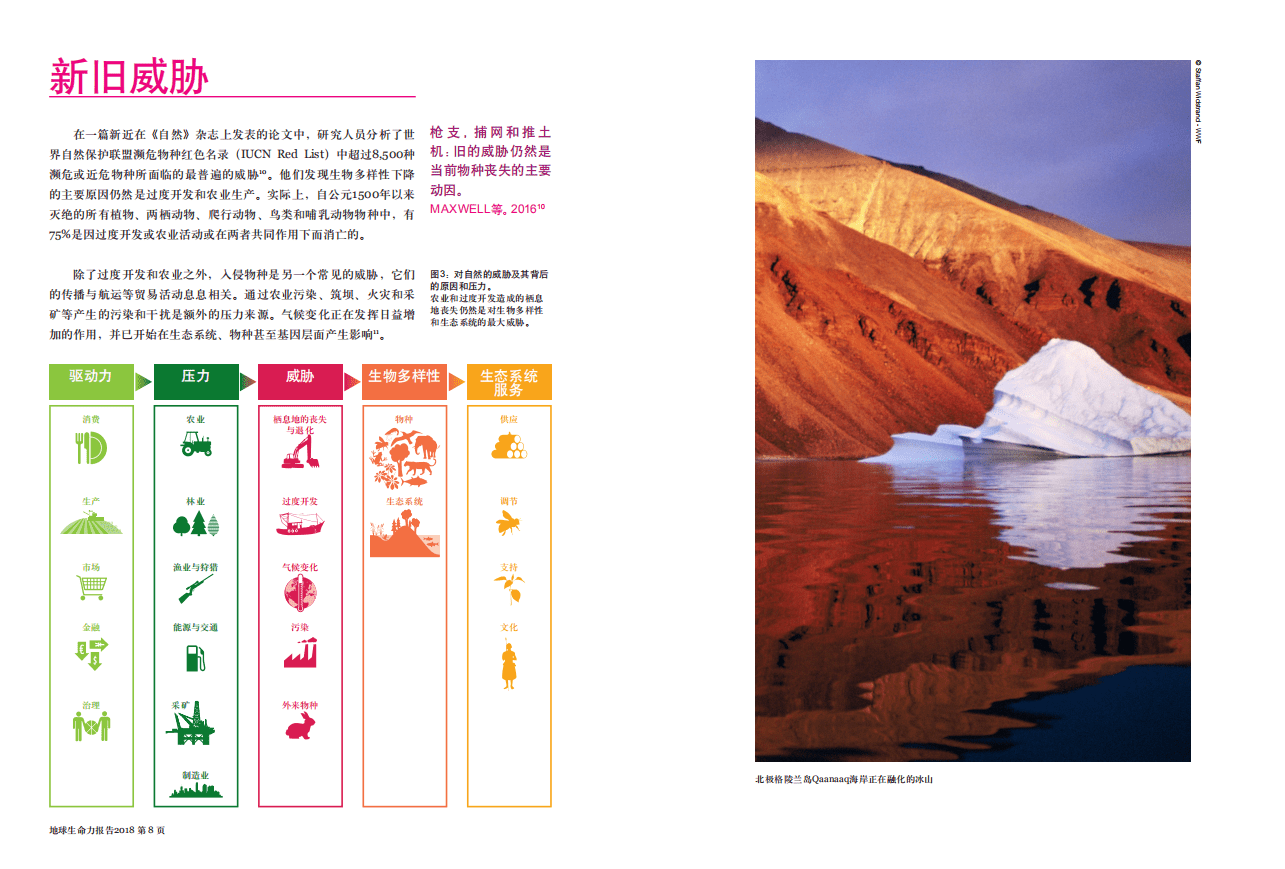 世界自然基金会：2018地球生命力报告-摘要.pdf 第5页