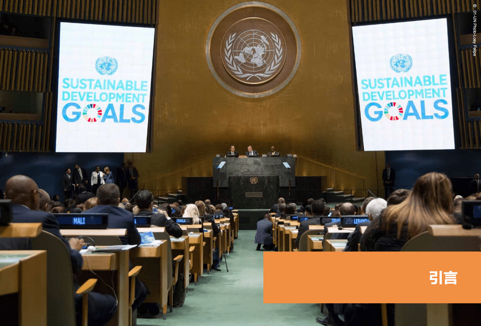 世界自然基金会WWF：2018中国SDGS指标构建及进展评估报告.pdf 第5页