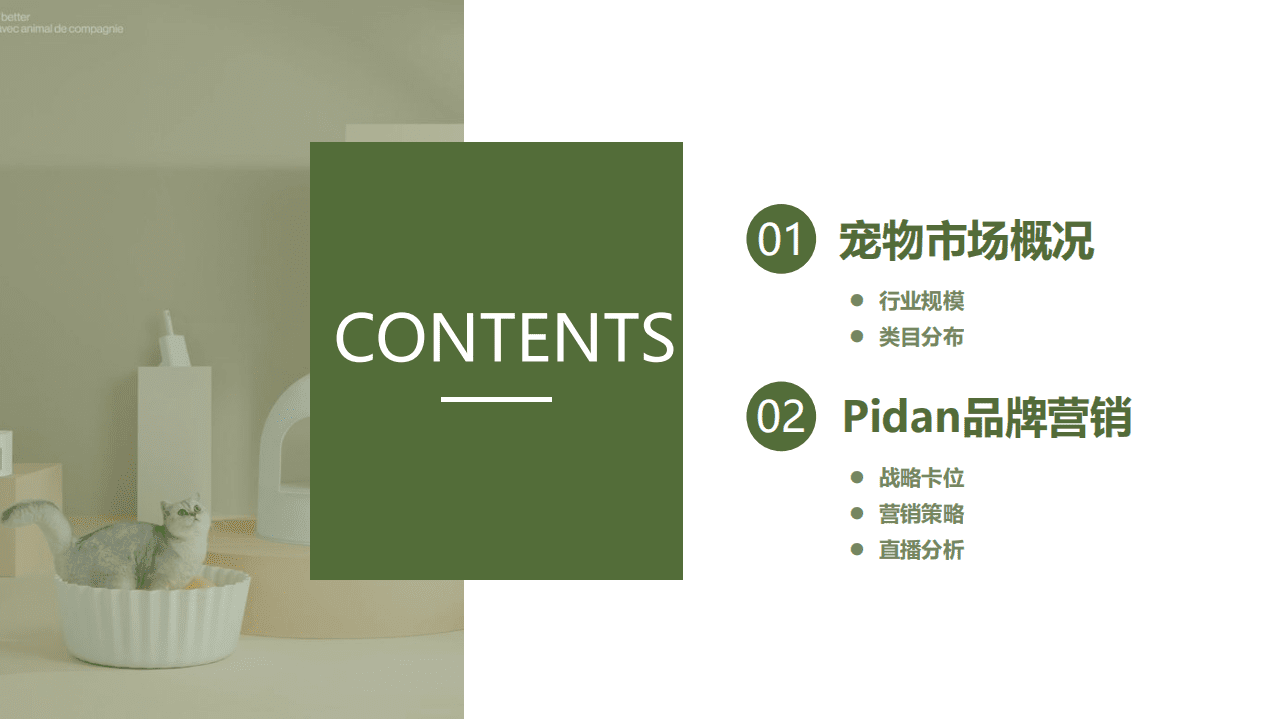 果集：宠物品牌案例分析报告-Pidan彼诞如何登顶品类第一？.pdf 第2页
