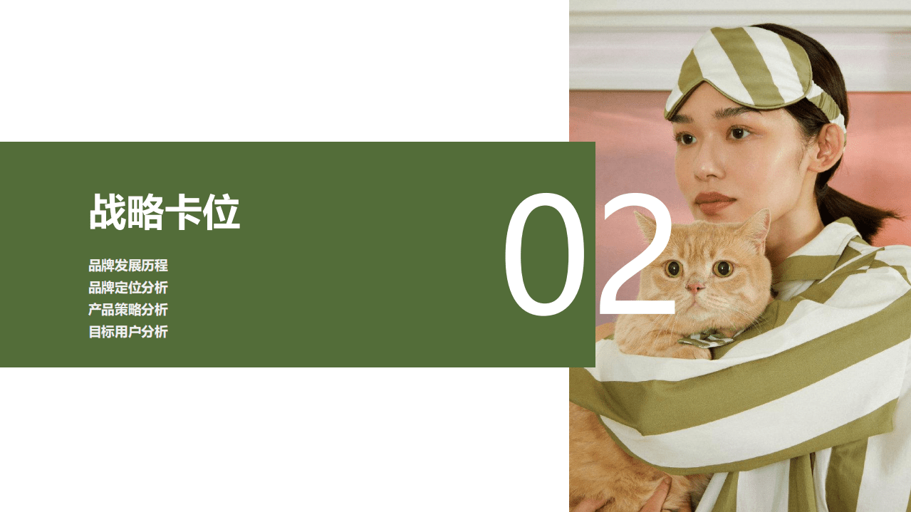 果集：宠物品牌案例分析报告-Pidan彼诞如何登顶品类第一？.pdf 第6页