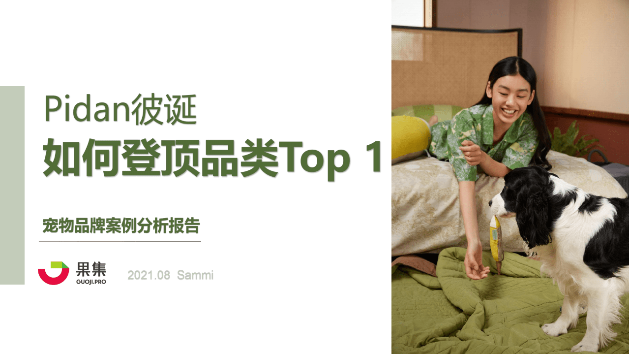 果集：宠物品牌案例分析报告-Pidan彼诞如何登顶品类第一？.pdf 第1页