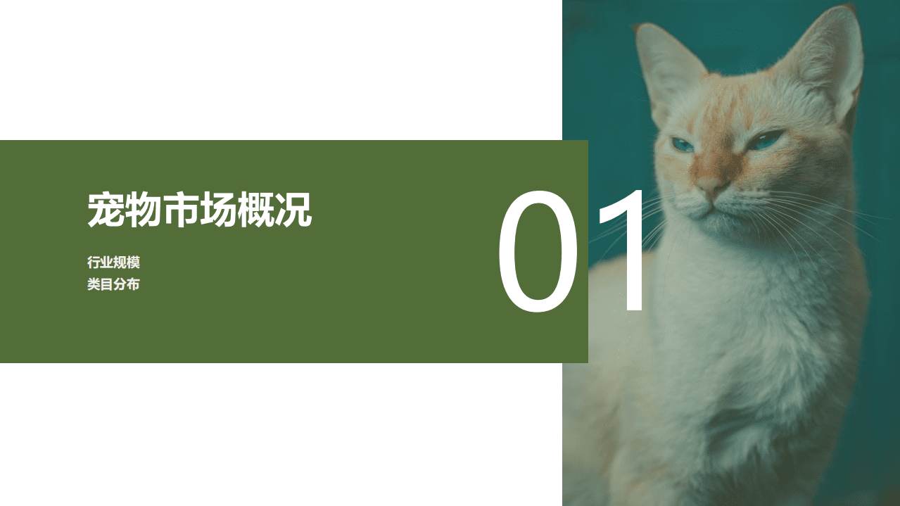果集：宠物品牌案例分析报告-Pidan彼诞如何登顶品类第一？.pdf 第3页
