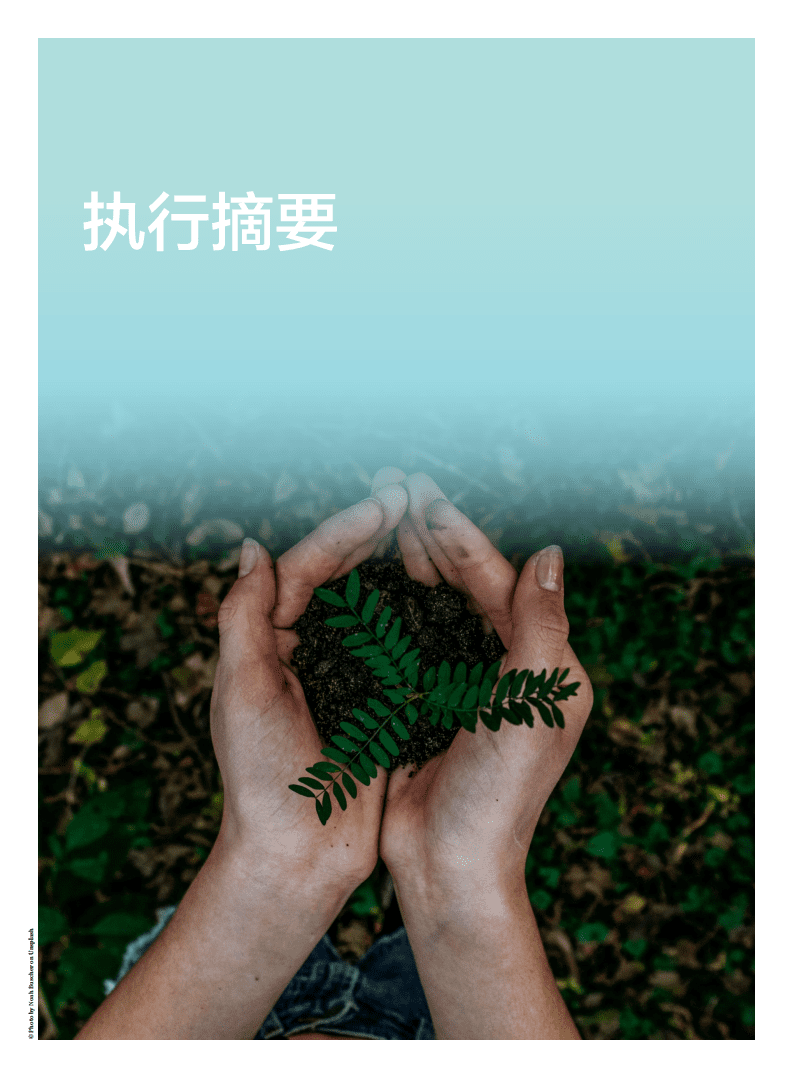自然资源保护协会：政府与企业促进个人低碳消费的案例研究.pdf 第4页