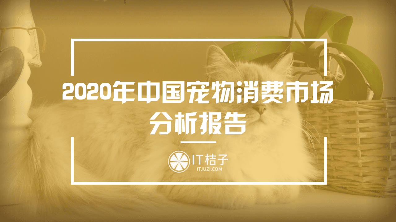 IT桔子：2020年中国宠物消费市场分析报告.pdf 第1页
