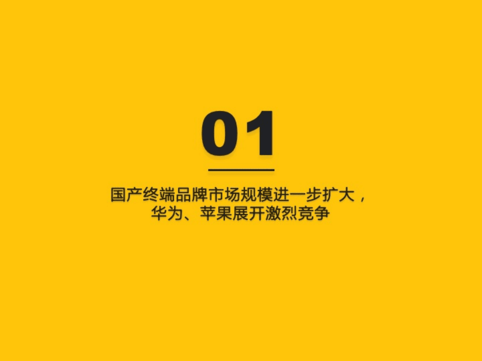 2020中国智能终端市场半年洞察报告.pdf 第2页