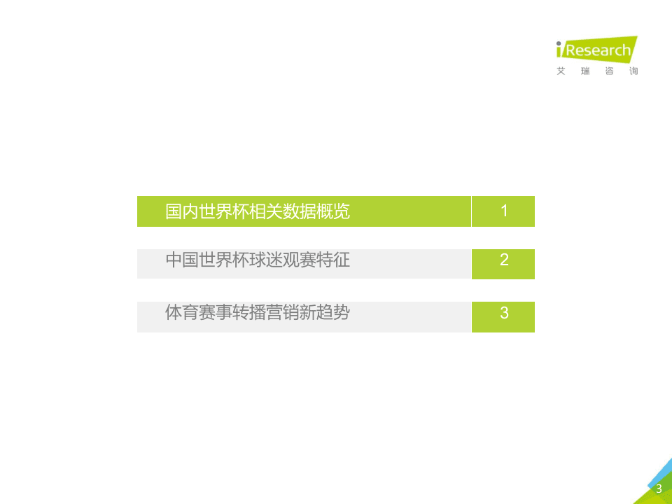 2018年中国世界杯球迷观赛数据解读.docx 第3页