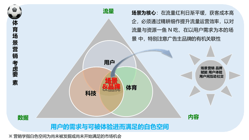 2018世界 杯体育营销框架与资源前瞻热刊.docx 第6页