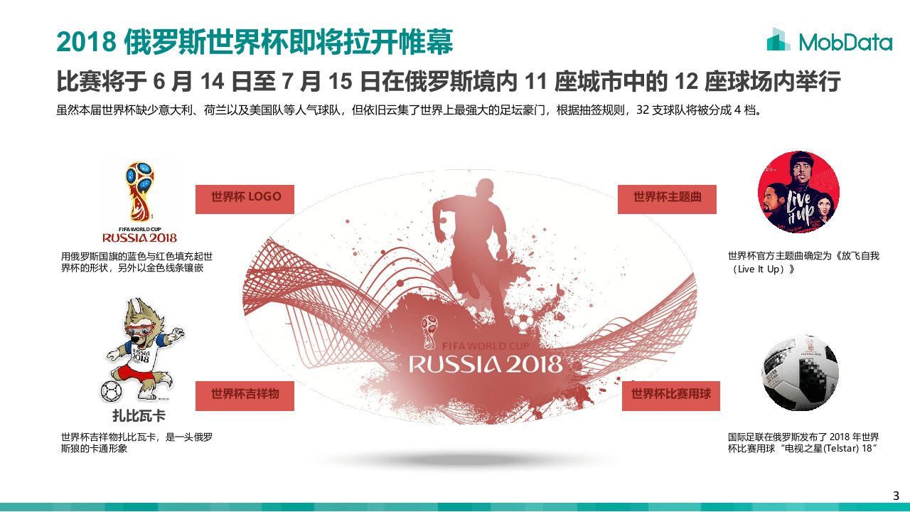 2018世界杯与中国球迷研究报告.docx 第3页