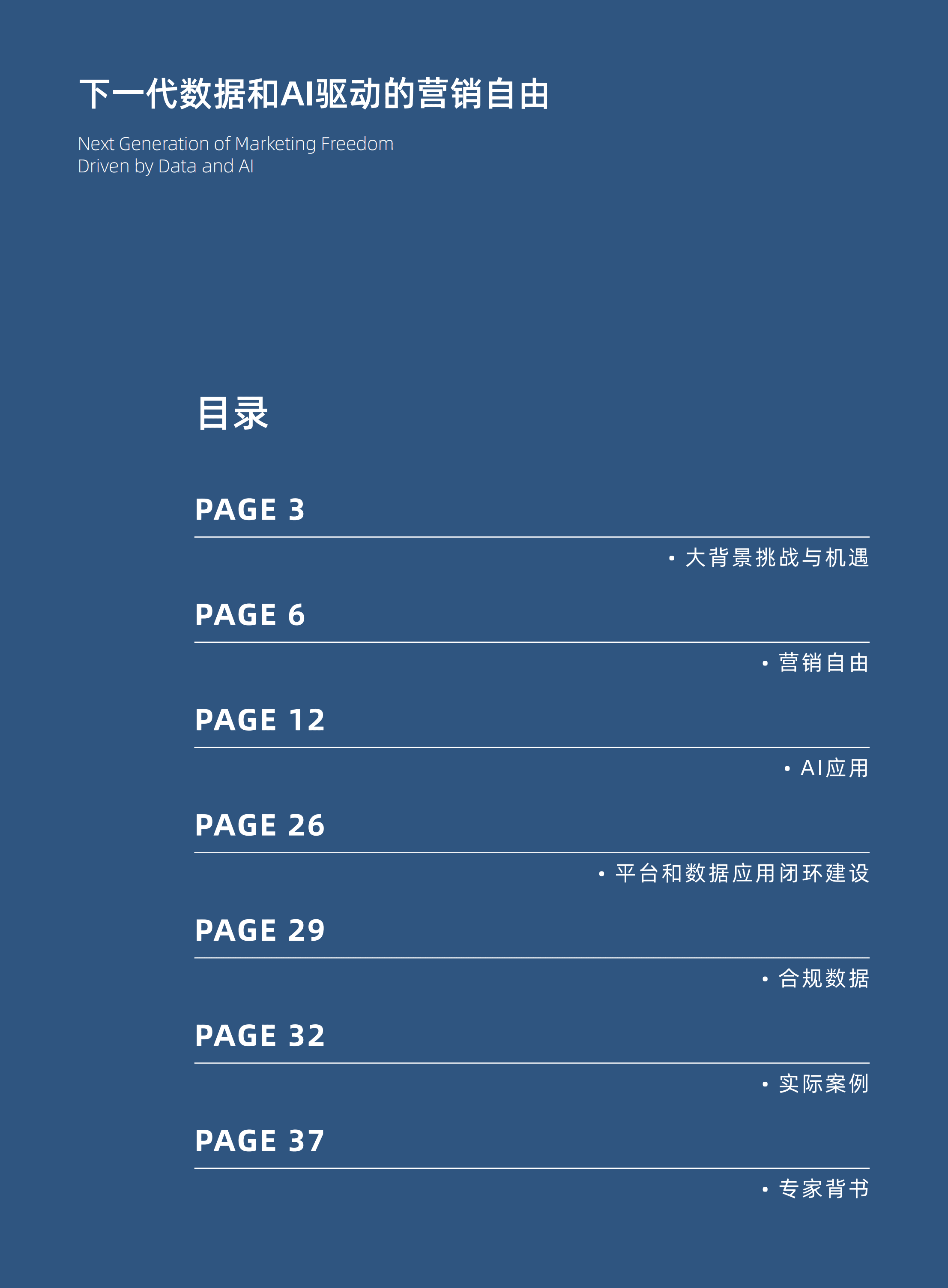DT媒体：下一代数据和AI驱动的营销自由.pdf 第2页