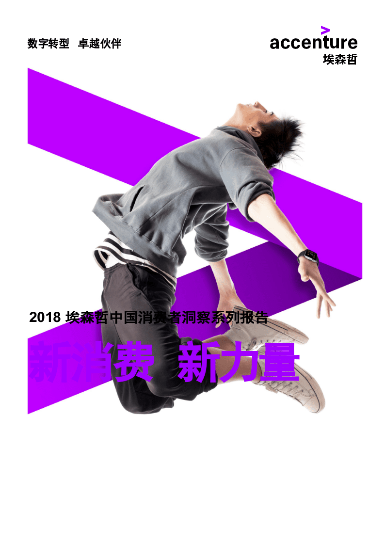 2018埃森哲中国消费者洞察系列报告：新消费，新力量.docx 第1页