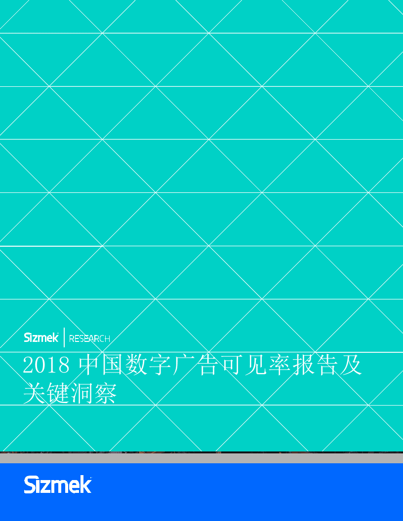 2018中国数字广告可见率报告及关键洞察.docx 第1页