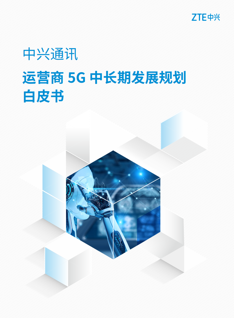 中兴：运营商5G中长期发展规划白皮书.pdf 第1页