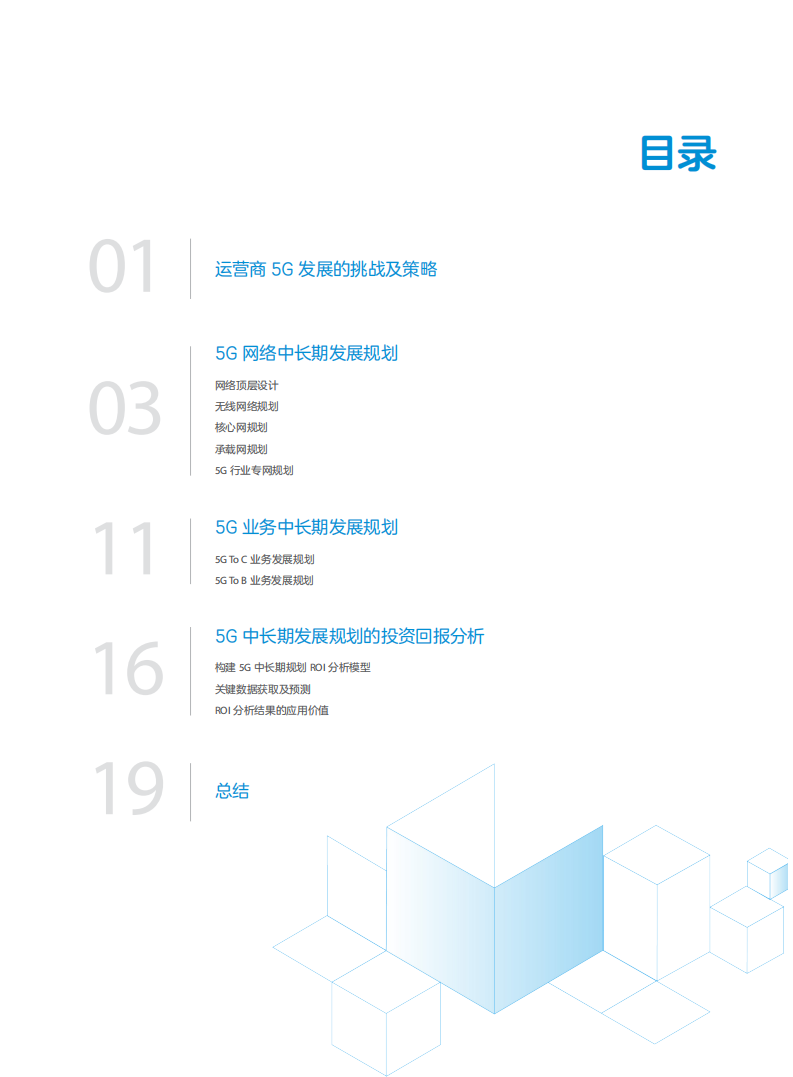 中兴：运营商5G中长期发展规划白皮书.pdf 第2页