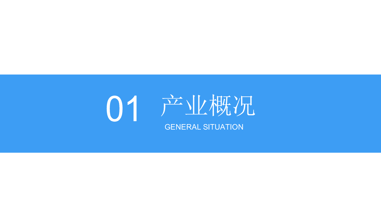 2018中国大健康产业市场前景研究报告.docx 第4页