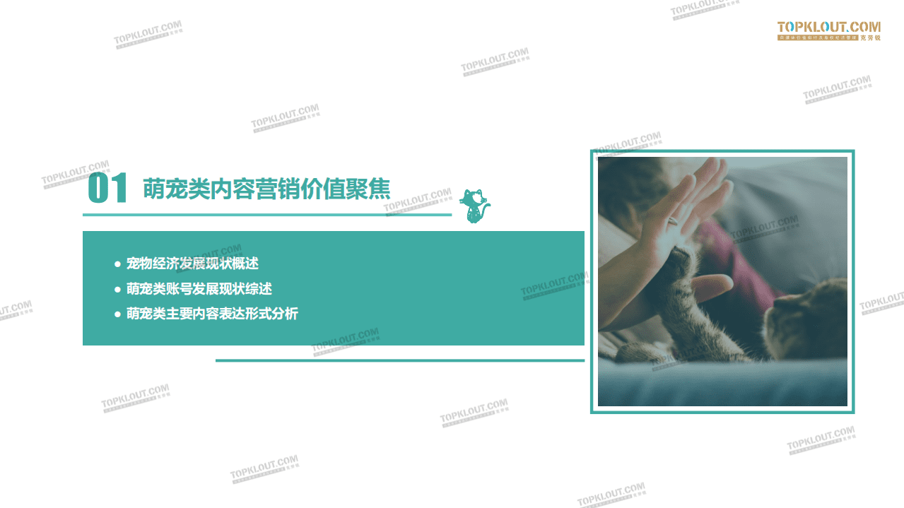 克劳锐：萌宠内容生态下的&ldquo;宠物经济&rdquo;.pdf 第4页