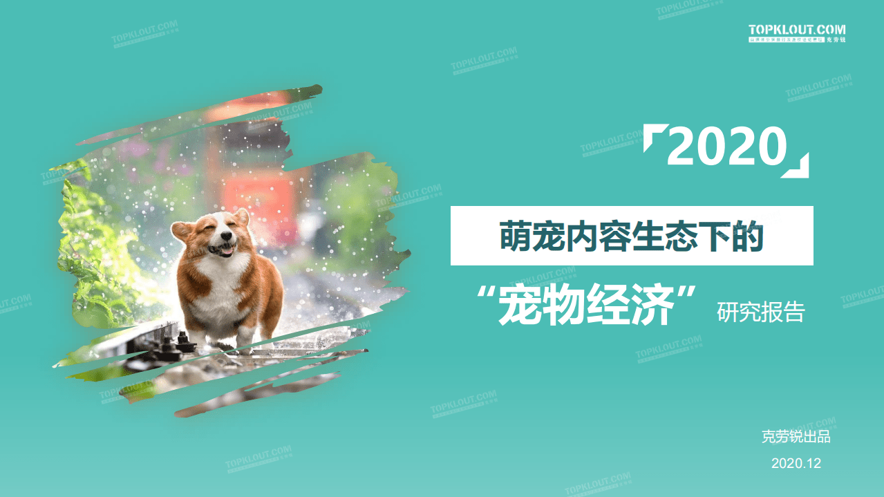 克劳锐：萌宠内容生态下的&ldquo;宠物经济&rdquo;.pdf 第1页