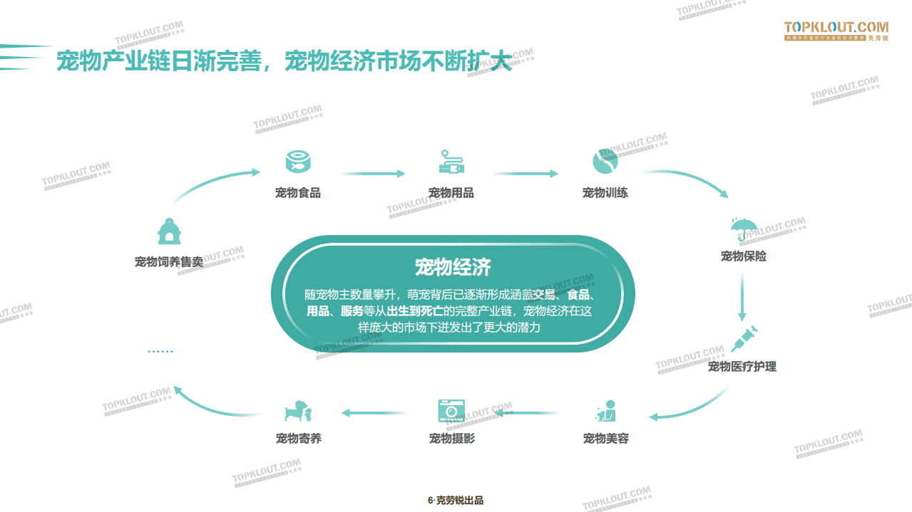 克劳锐：萌宠内容生态下的&ldquo;宠物经济&rdquo;.pdf 第6页