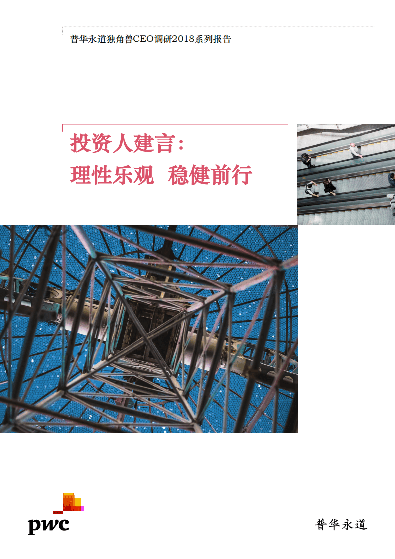 普华永道：投资人建言：理性乐观 稳健前行.pdf 第1页