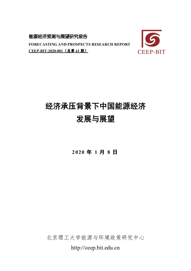 CEEP-BIT：经济承压背景下中国能源经济发展与展望.pdf 第1页