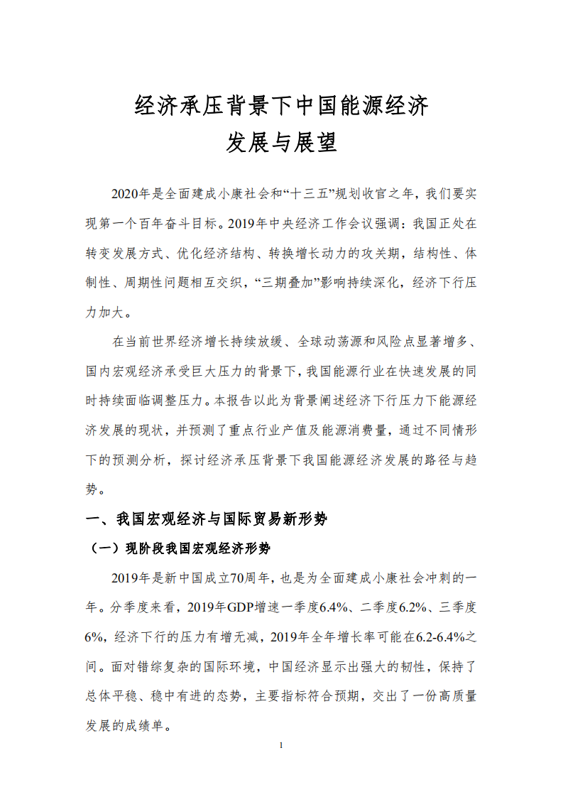CEEP-BIT：经济承压背景下中国能源经济发展与展望.pdf 第2页
