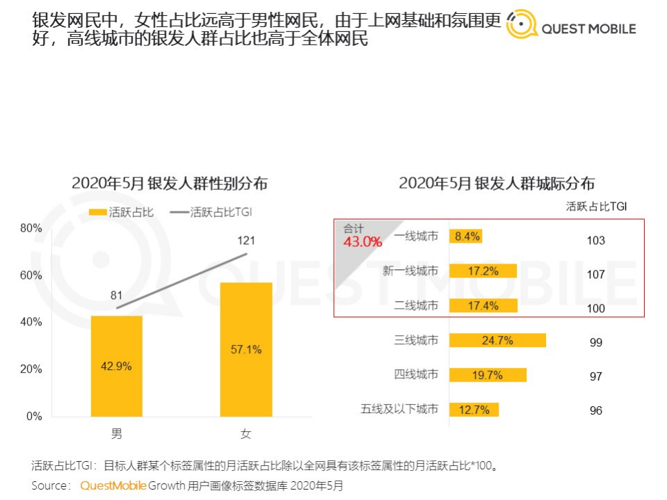 QuestMobile：2020银发经济洞察报告.pdf 第6页