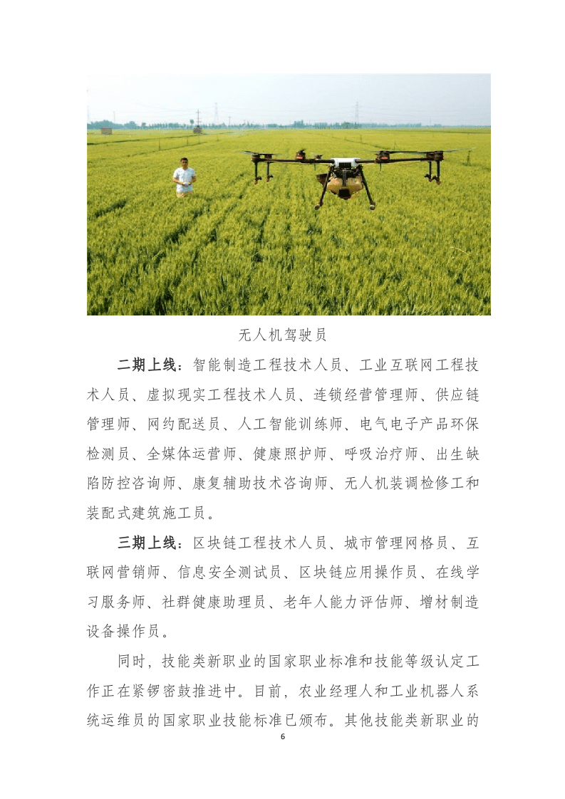 人社部&阿里钉钉：新职业在线学习平台发展报告DOC.docx 第6页