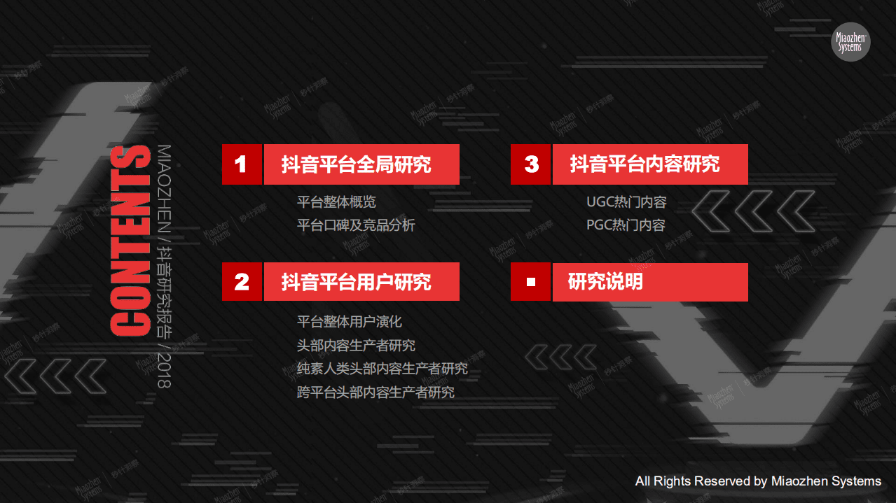 海马云大数据：2018抖音研究报告.pdf 第2页