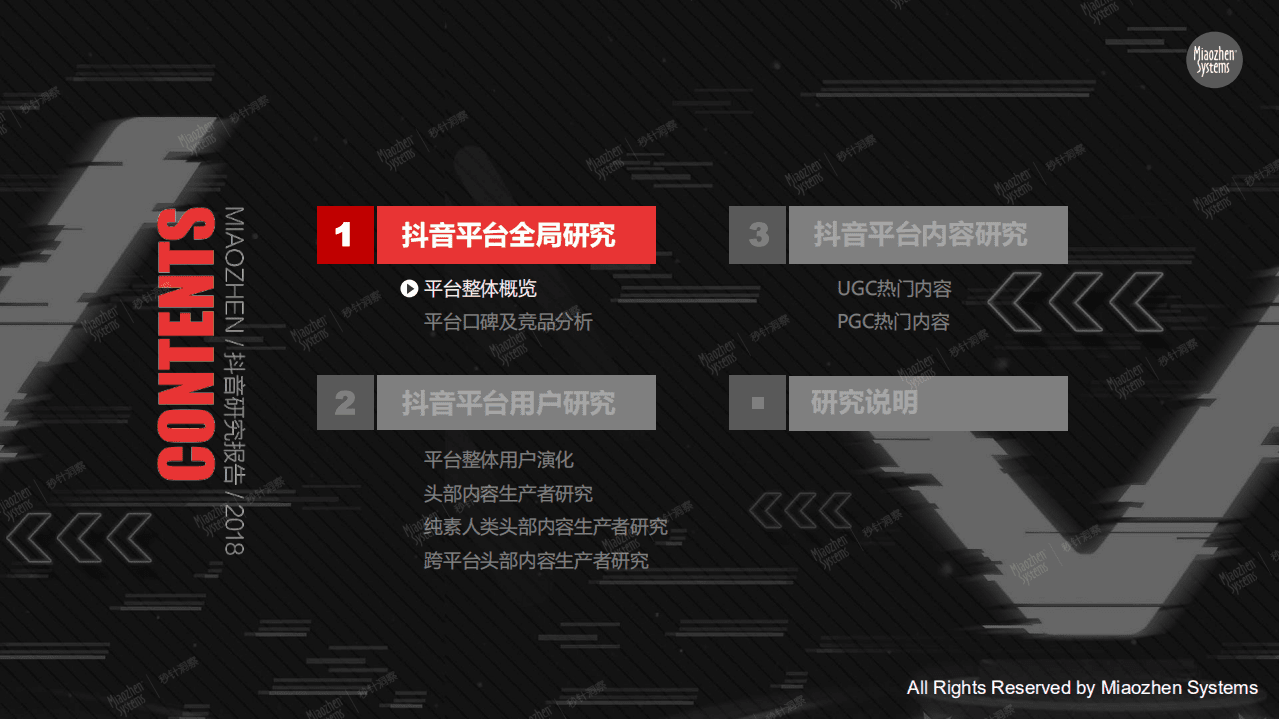 海马云大数据：2018抖音研究报告.pdf 第3页