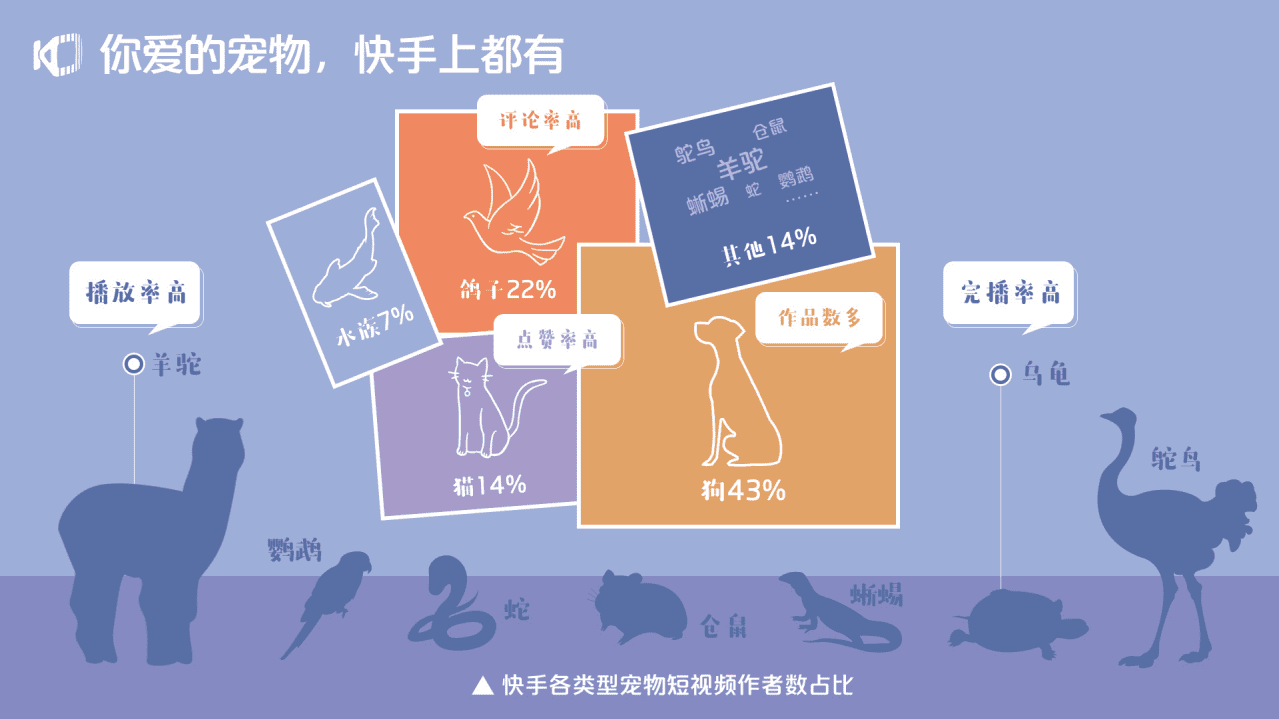 快手大数据研究院：2020宠物生态报告.pdf 第5页