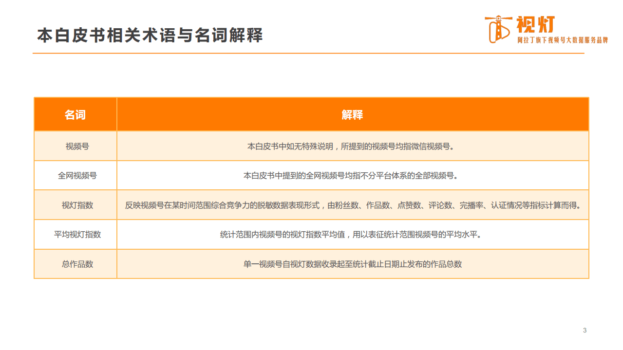 视灯数据：2020视频号发展白皮书.pdf 第3页
