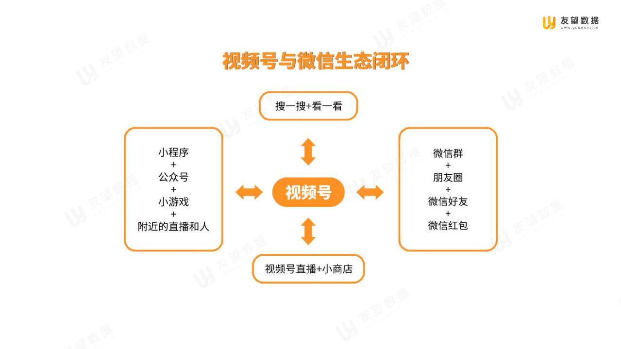 友望数据：2021年Q1微信视频号生态趋势调查报告.pdf 第5页