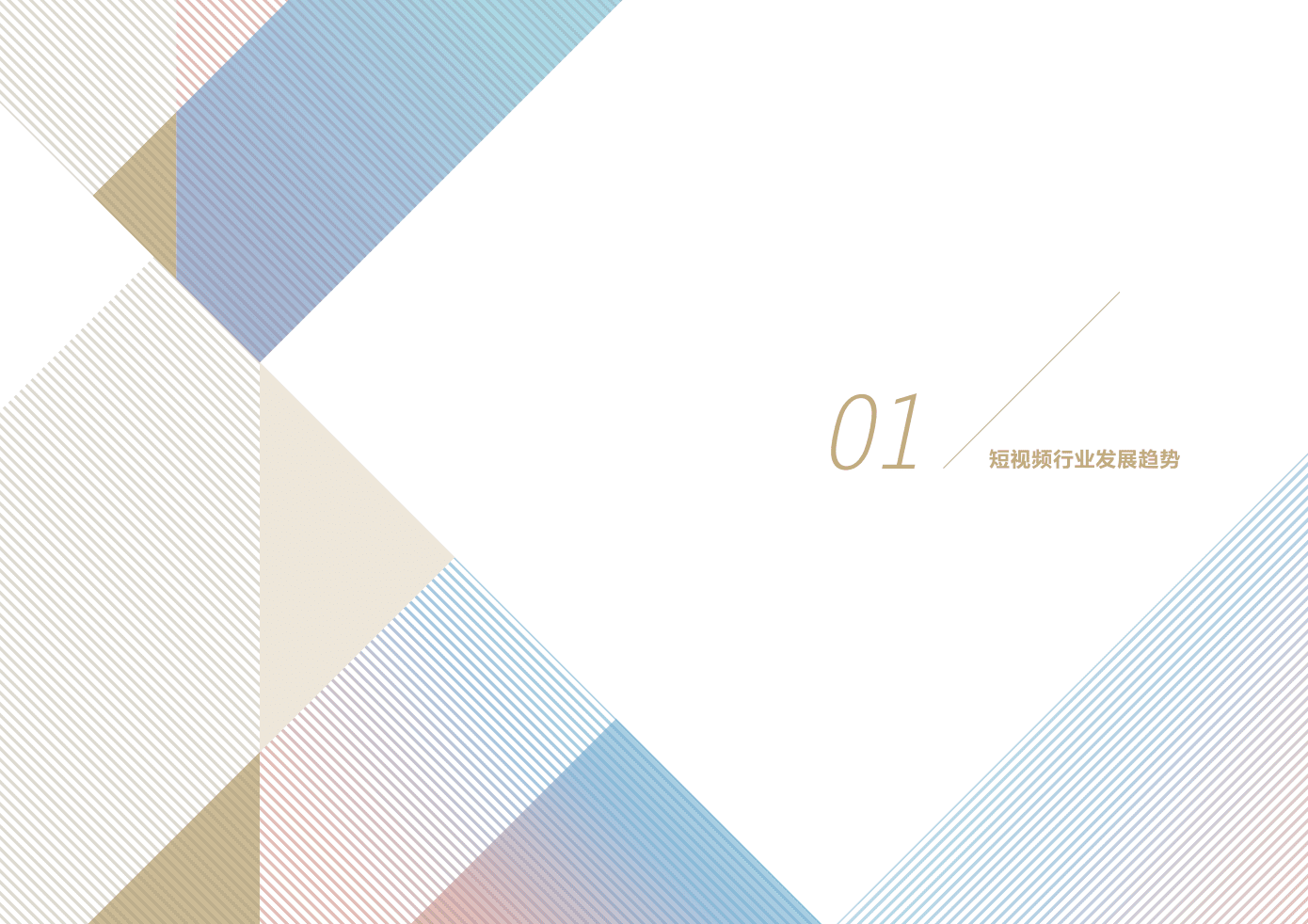 知萌：2019短视频营销白皮书.pdf 第4页