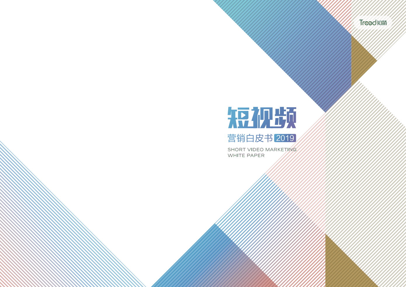 知萌：2019短视频营销白皮书.pdf 第1页