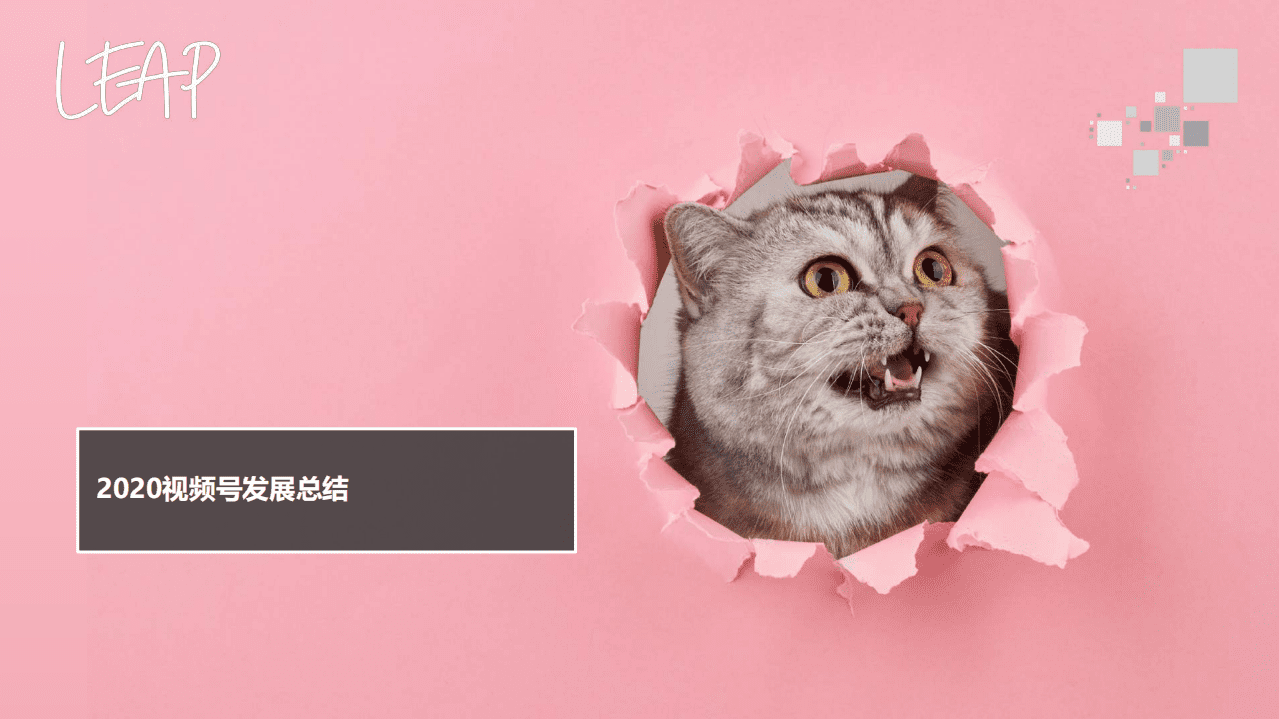 LEAP：2020-2021视频号发展现状与趋势.pdf 第3页