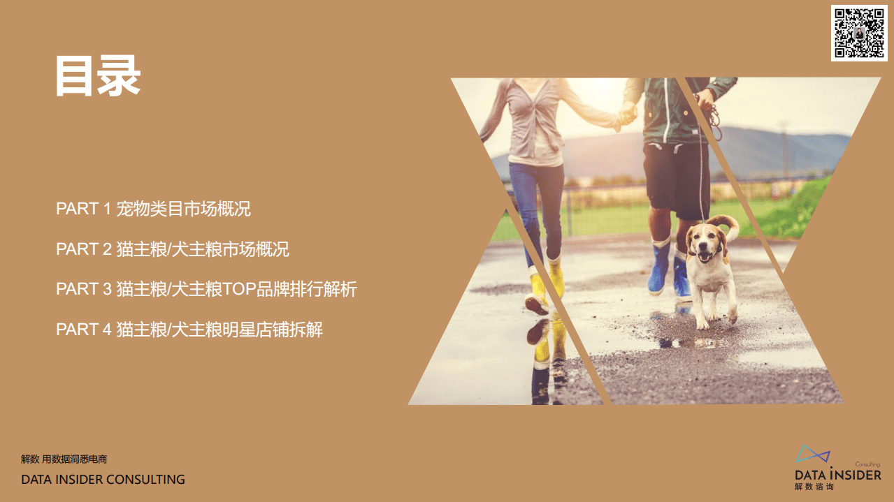 解数咨询：宠物新浪潮下的入局态势及明星打法拆解.pdf 第6页