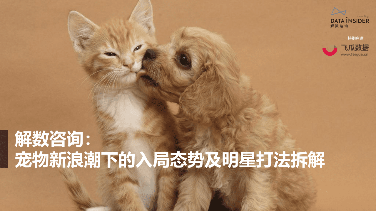 解数咨询：宠物新浪潮下的入局态势及明星打法拆解.pdf 第1页