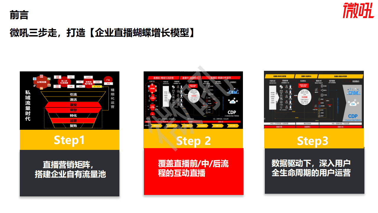 微吼：2021企业直播营销策略白皮书.pdf 第6页