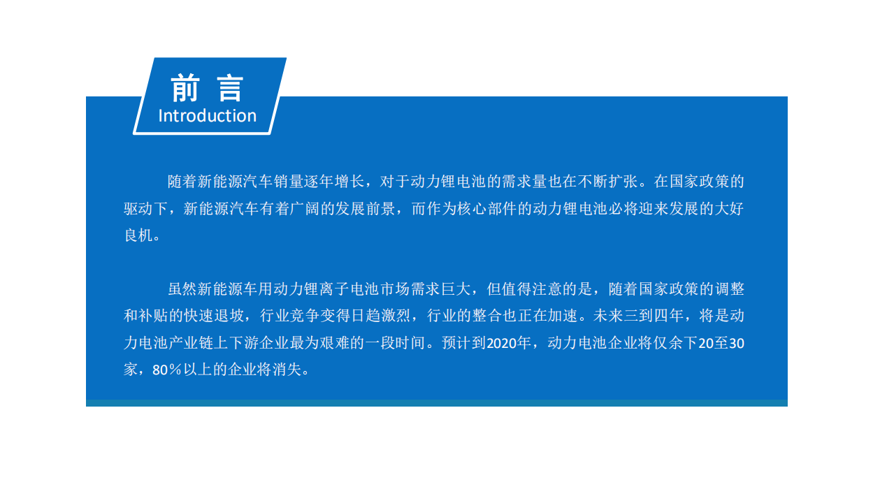 2019年中国动力电池行业市场前景与投资研究报告.pdf 第2页