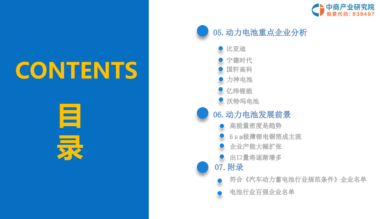 2019年中国动力电池行业市场前景与投资研究报告.pdf 第5页