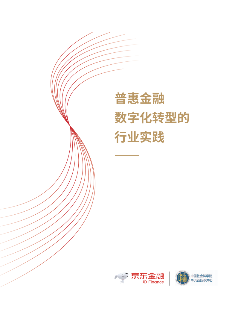 普惠金融数字化转型的行业实践.pdf 第1页