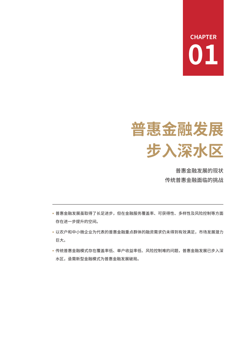 普惠金融数字化转型的行业实践.pdf 第6页